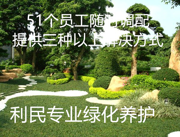 綠化養(yǎng)護(hù) 綠化養(yǎng)護(hù)