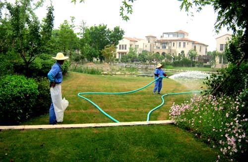 綠化養(yǎng)護(hù) 綠化養(yǎng)護(hù)